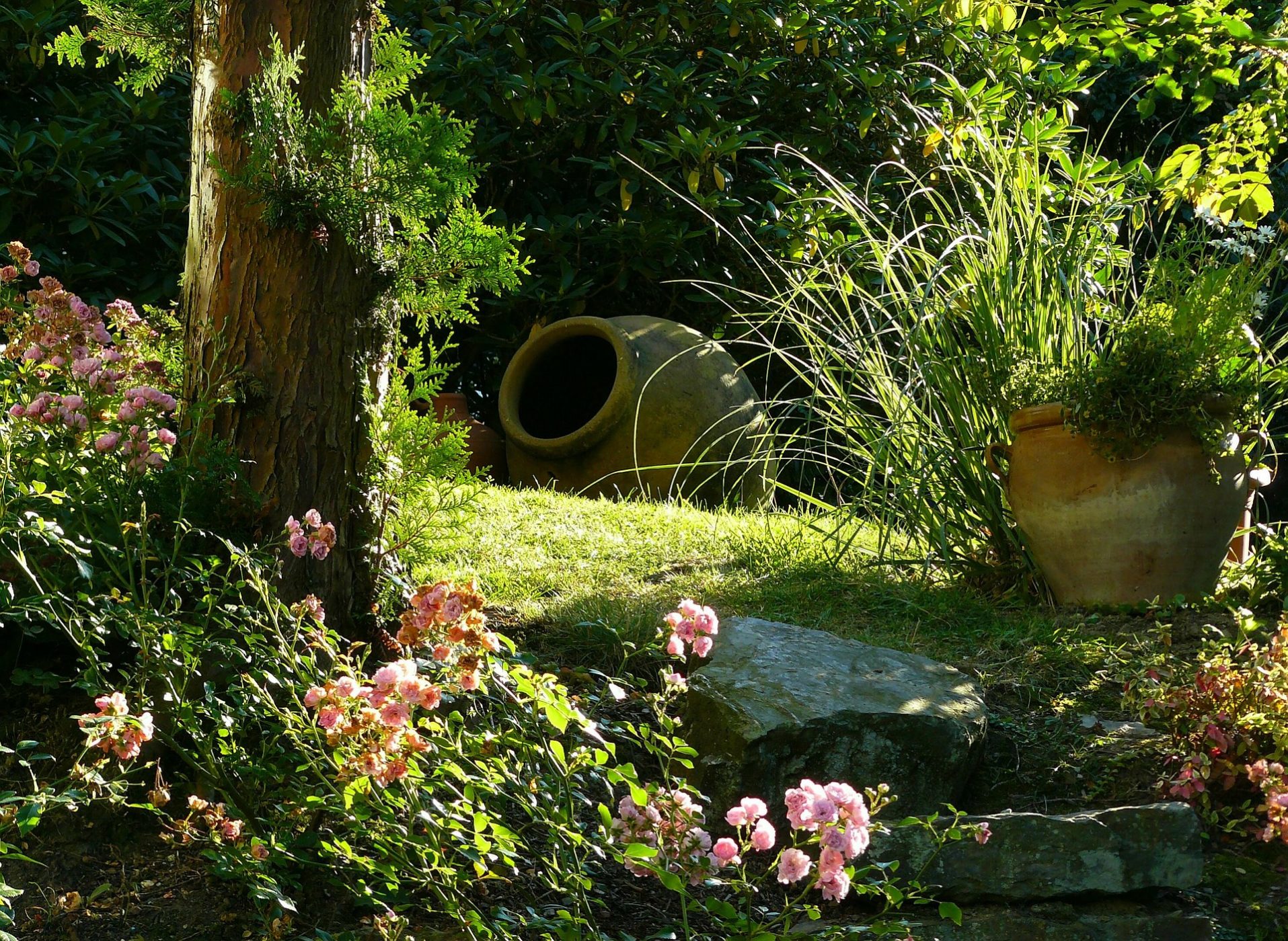 Tipps zur Gartengestaltung und Pflege garten247.de